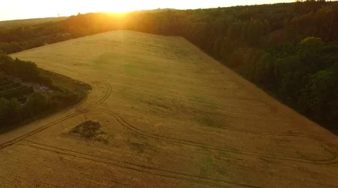 Aerial footage of a flight over fields Stock Footage 52525378