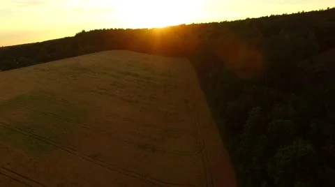 Aerial footage of a flight over fields Stock Footage 52525843