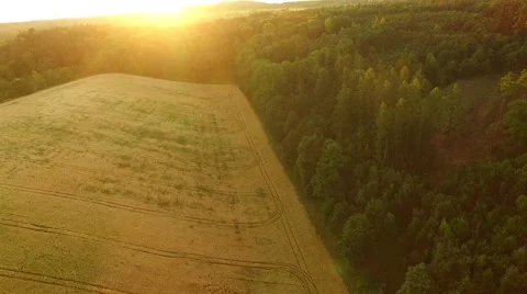 Aerial footage of a flight over fields Stock Footage 52526282