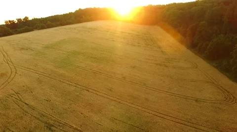 Aerial footage of a flight over fields Stock Footage 52526774