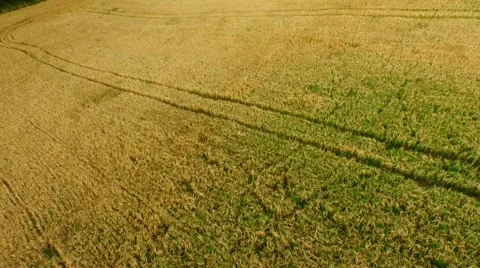 Aerial footage of a flight over fields Stock Footage 52527115