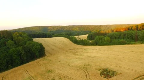 Aerial footage of a flight over fields Stock Footage 52527422