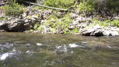 Aerial footage flowing down stream with the clear river in multiple angles Stock Footage 228757745