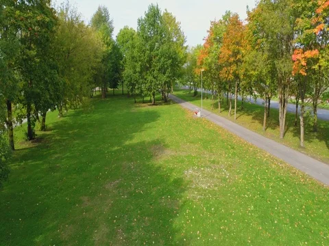 Aerial footage of foliage in small Estonian town. Stock Footage