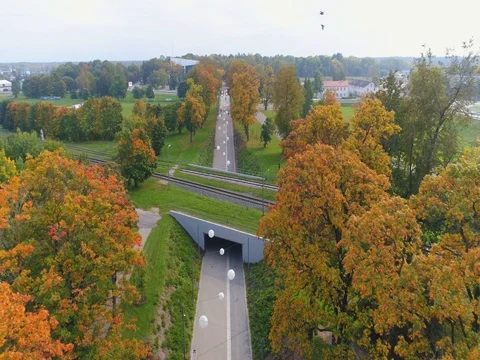 Aerial footage of foliage in small Estonian town. Stock Footage