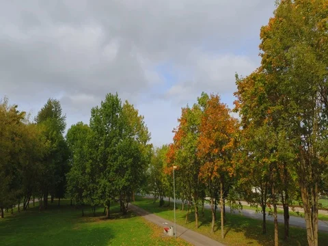 Aerial footage of foliage in small Estonian town. Stock Footage