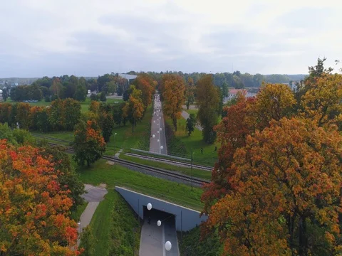 Aerial footage of foliage in small Estonian town. Stock Footage