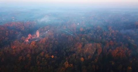 Aerial Footage of Forest with a Castle in it on a Foggy Autumn Morning, Fall Stock-Footage 97945853