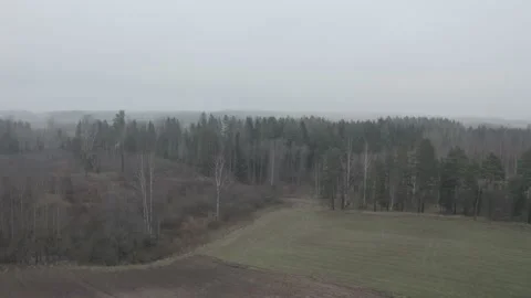 Aerial footage of forest in fog Stock Footage