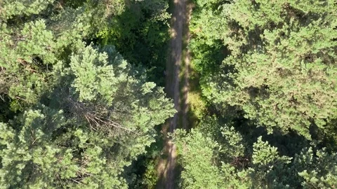 Aerial footage of forest in spring. Video stock 91111105