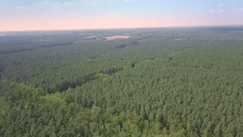 Aerial footage of forest in spring. Video stock 108629580