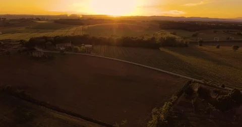 Aerial footage, high speed train passing between gorgeous vineyards on sunset Stock Footage