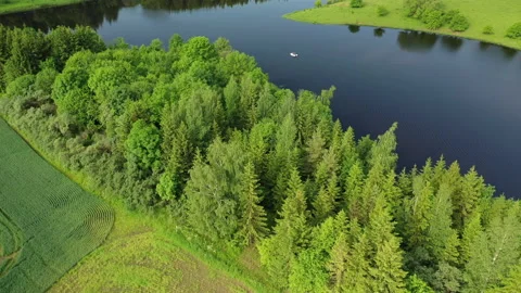 Aerial footage: nice summer landscape by the lake Stock Footage 197306853
