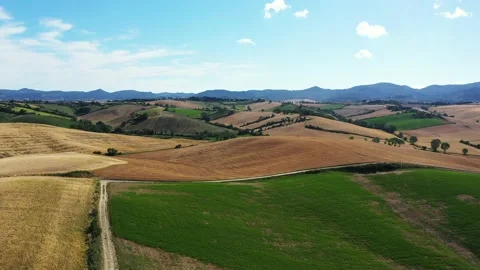 Aerial footage over fields Stock Footage 136582001