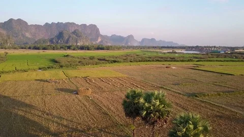 Aerial footage over rice fields in Myanmar Stock Footage 75770314