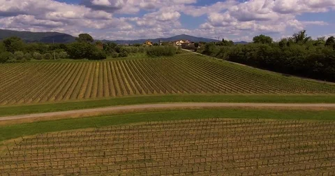 Aerial footage, raws of green vineyards in Tuscany, Italy, 4K Stock Footage