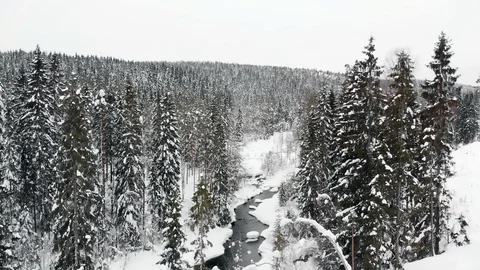Aerial Footage of River and Forest Covered with Snow in Winter Stock Footage