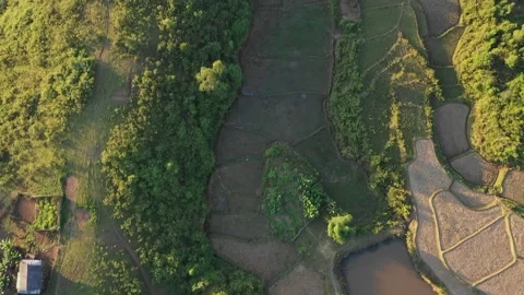 Aerial footage showcasing the patchwork of rice terraces, ponds, and lush Stock Footage 346664854