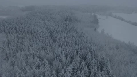 Aerial footage of a snowy forest in winter Stock Footage