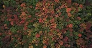 Aerial Footage Of Vermont Season Change Stock Footage