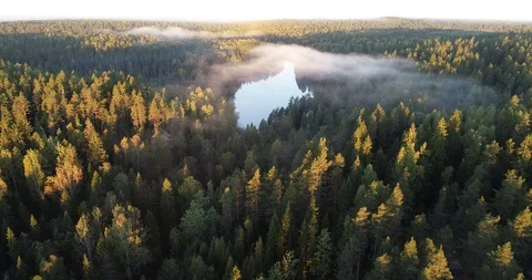 Aerial footage video of foggy morning. Flying over forest and the lake. Stock Footage