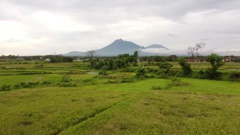 Aerial footage of views of Mount Merapi and Merbabu from the rice fields Stock Footage 292282438