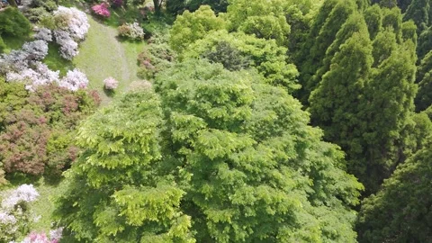 Aerial Footage of Wind Moving Through Natural Landscapes Stock Footage 336796035