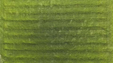 Aerial Footage of Wind Patterns Across Green Meadow Stock Footage 336798366