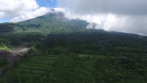 Aerial Forest and cloud Stock Footage 104507067