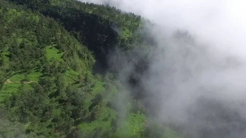 Aerial Forest and cloud Video stock 104507840