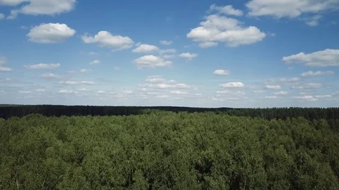 Aerial: Forest and clouds Stock Footage 82227203