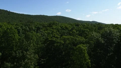 Aerial of forest and corn fields in rural Pennsylvania near Hazleton Stock Footage 243888956