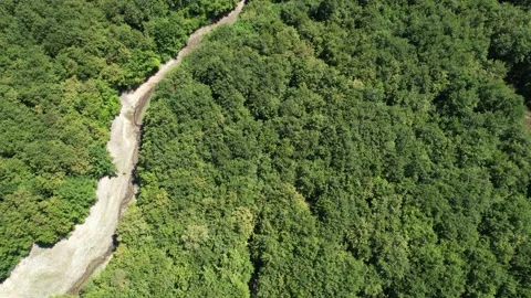 Aerial forest and dried up river Stock Footage 202297559