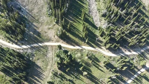 Aerial forest and Gondolas Vidéo 235873471