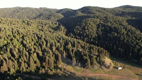 Aerial forest and mountain Stock Footage 203596896