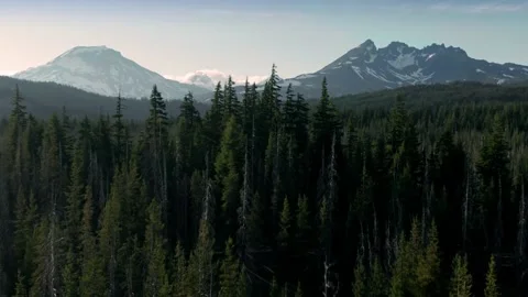 Aerial: Forest and mountain range, Bend, Oregon Stock Footage 159322087