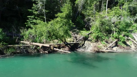 Aerial of forest and river Stock Footage 259773475