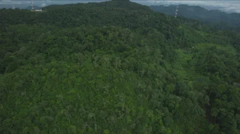 Aerial of forest area Stock Footage 63061692