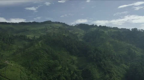 Aerial of forest area in mountain Stock Footage 63062039
