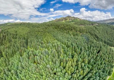 Aerial of a forest in Argyll Stock-Fotos