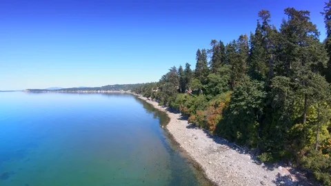 Aerial Forest Beach View, Top Coast Landscape Drone Coastline Nature Stock Footage 92643647
