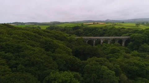 Aerial Of A Forest With A Bridge In The Background 2 Stock Footage 221877442