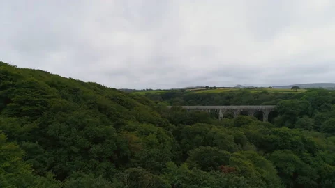 Aerial Of A Forest With A Bridge In The Background Stock Footage 221857946