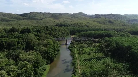 Aerial Forest with bridge in the middle 스톡 동영상 138334680
