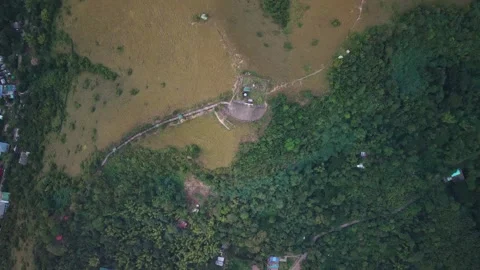 Aerial Forest Clearing With Dirt Path in Coron Palawan 動画素材 335517446
