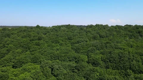 Aerial forest drone Stock Footage 198062452