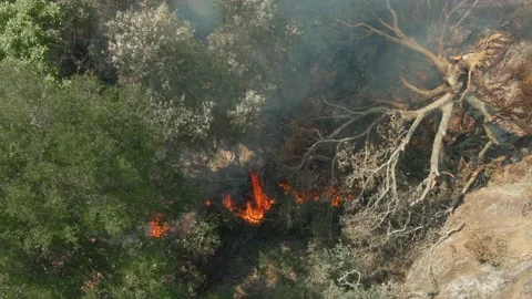 Aerial: forest on fire. LNU Lightning Complex Fire, Napa. Stock Footage 138078909