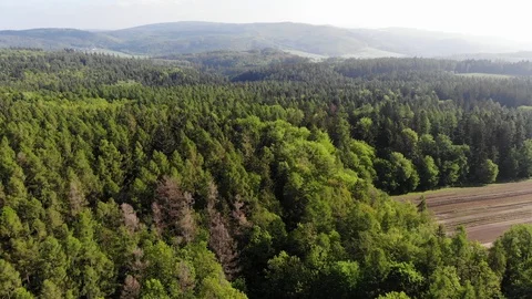 Aerial forest. Stock Footage 108311800