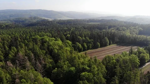 Aerial forest. Stock Footage 108369848
