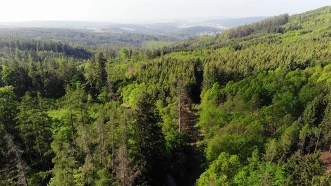 Aerial forest. Video stock 108369977